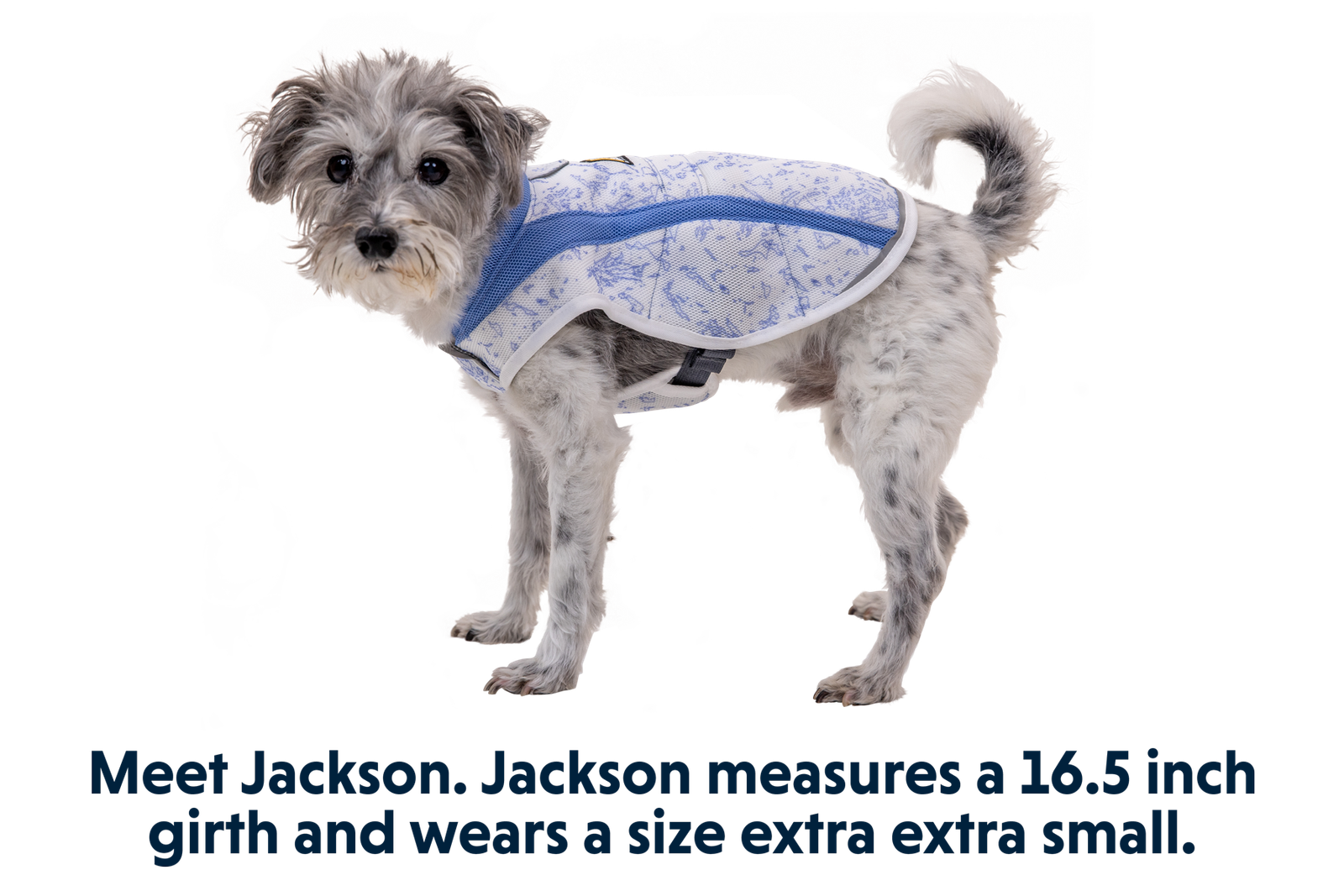 Swamp Cooler™ Cooling Dog Vest - Image 27