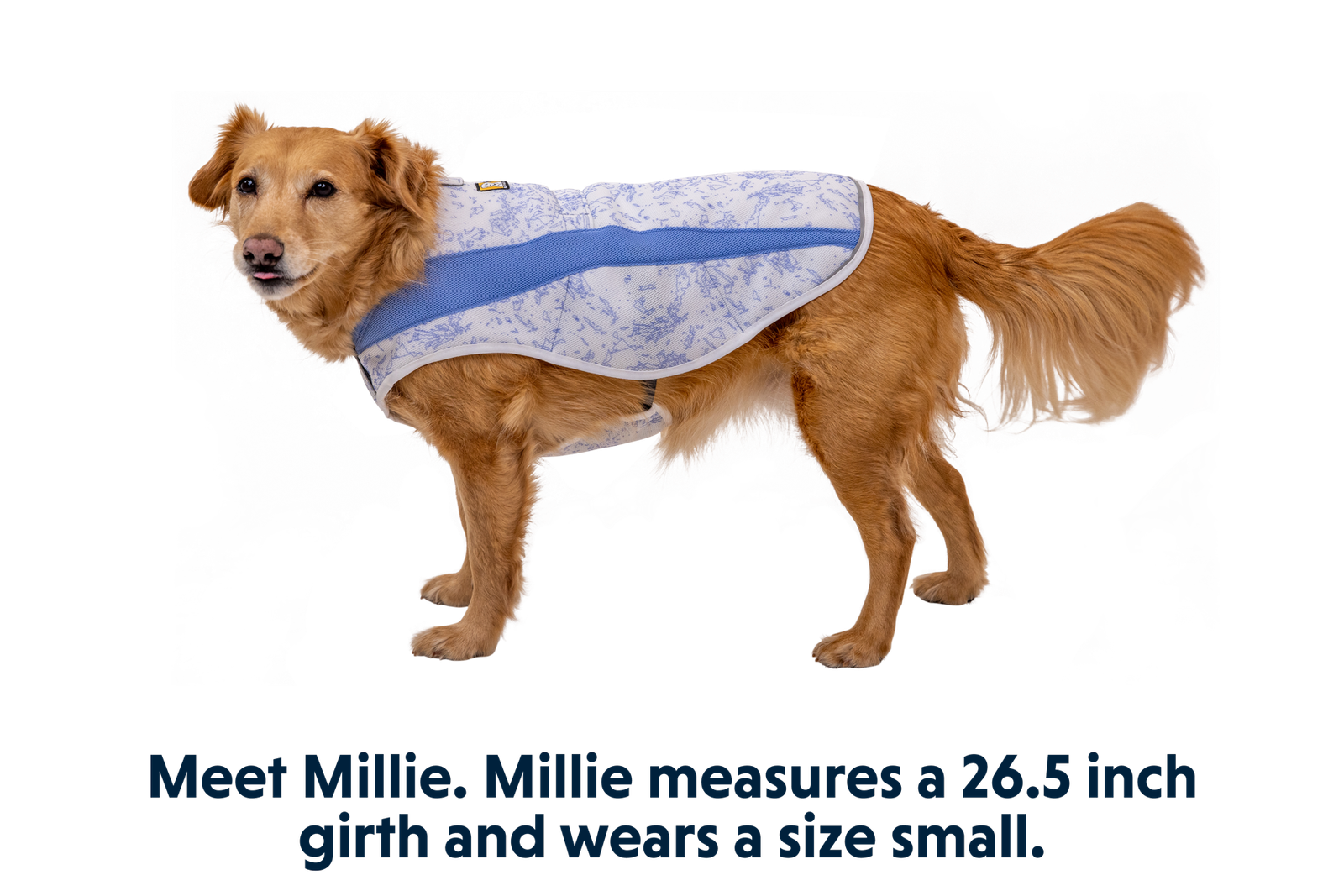 Swamp Cooler™ Cooling Dog Vest - Image 28