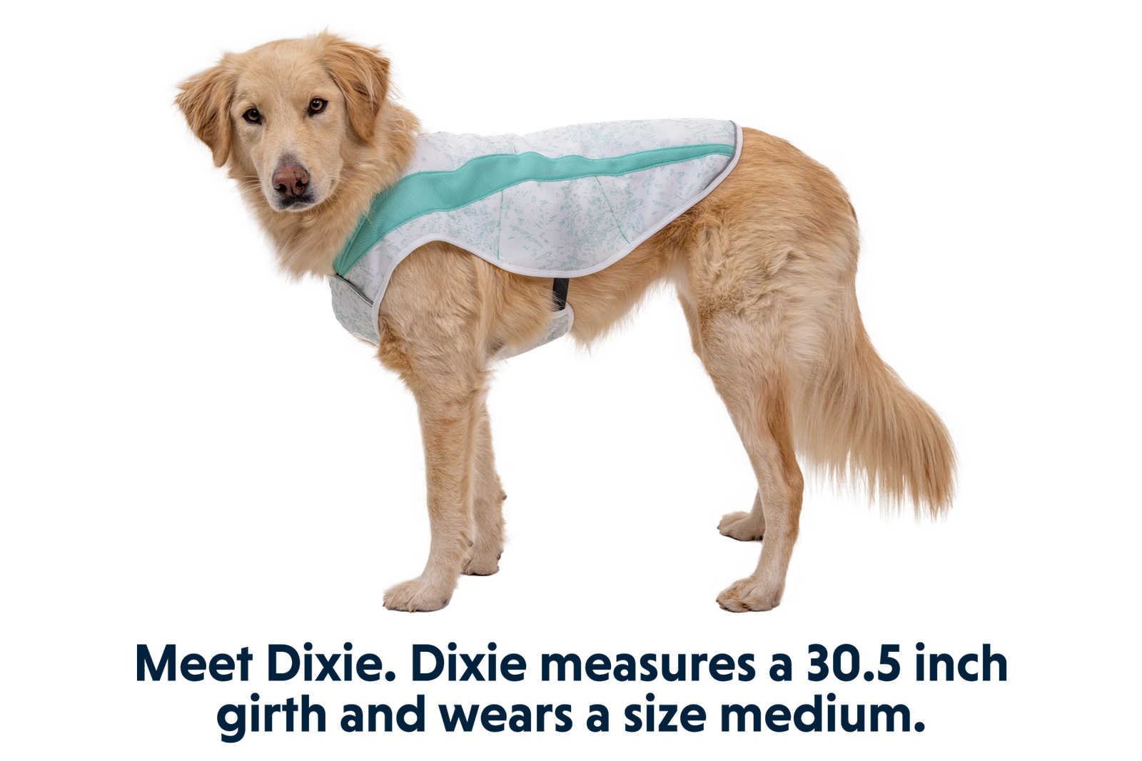 Swamp Cooler™ Cooling Dog Vest - Image 39