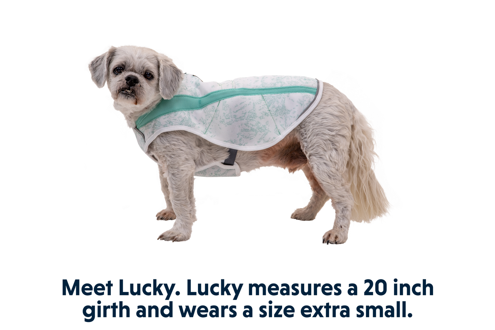 Swamp Cooler™ Cooling Dog Vest - Image 41