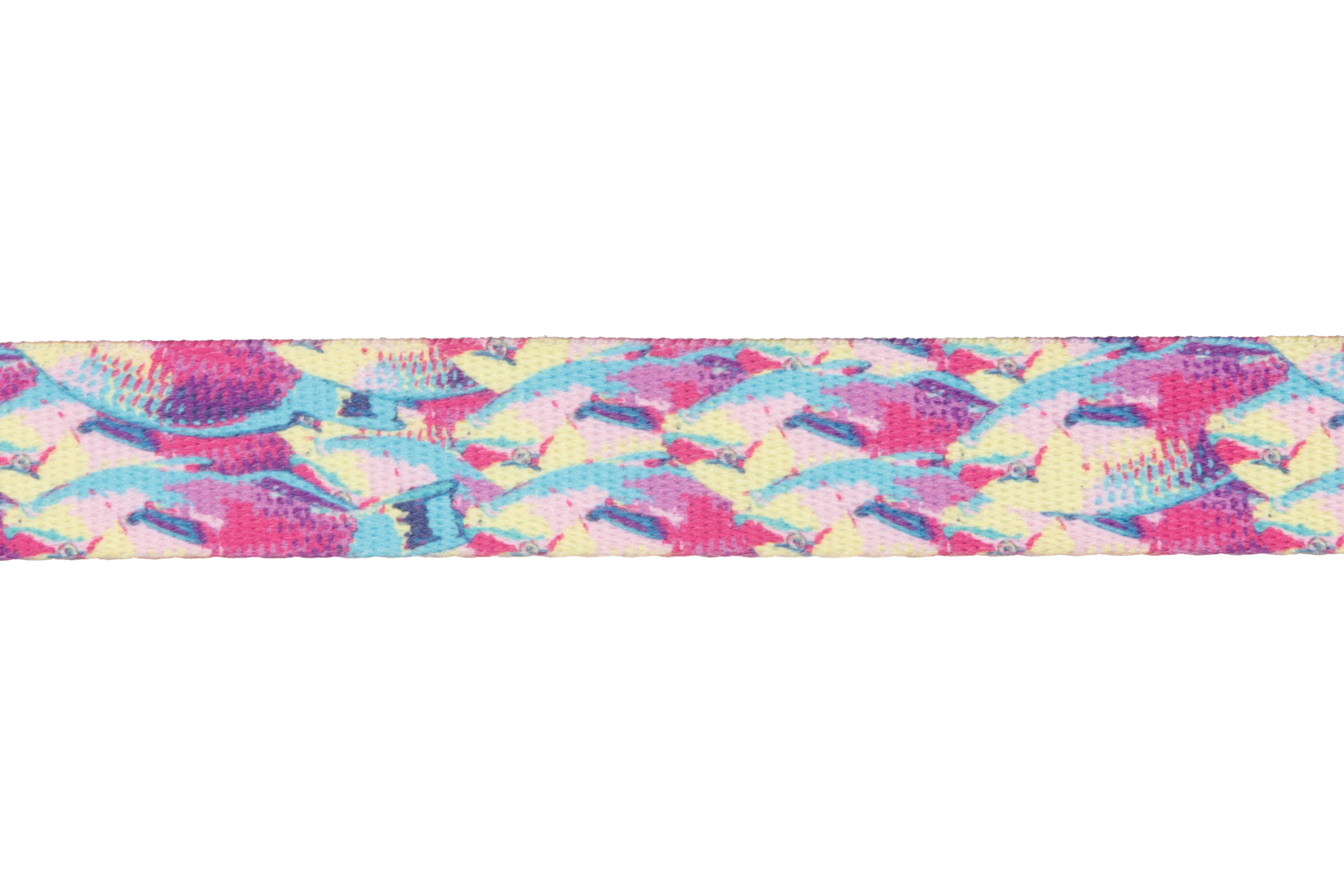 Front Range® Collar - Image 34