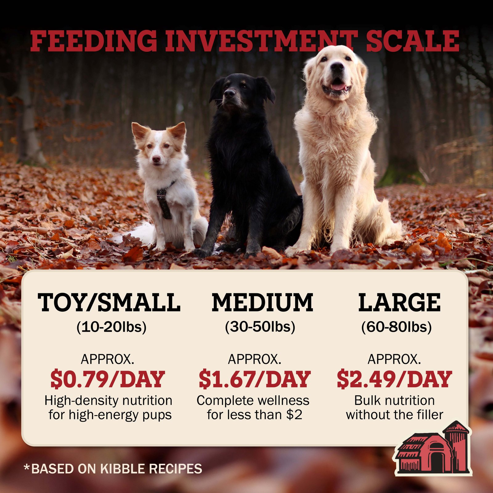 First-Five Kibble Grain-Free Puppy Beef & Lamb Recipe - Image 10