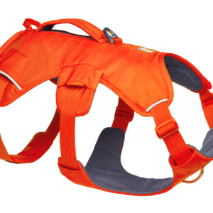 Web Master™ Dog Harness with Handle