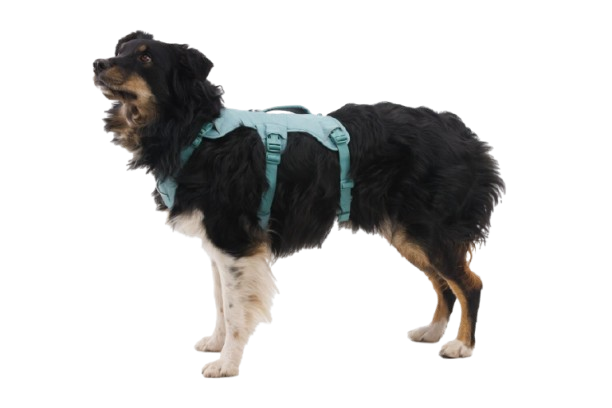 Web Master™ Dog Harness with Handle - Image 26