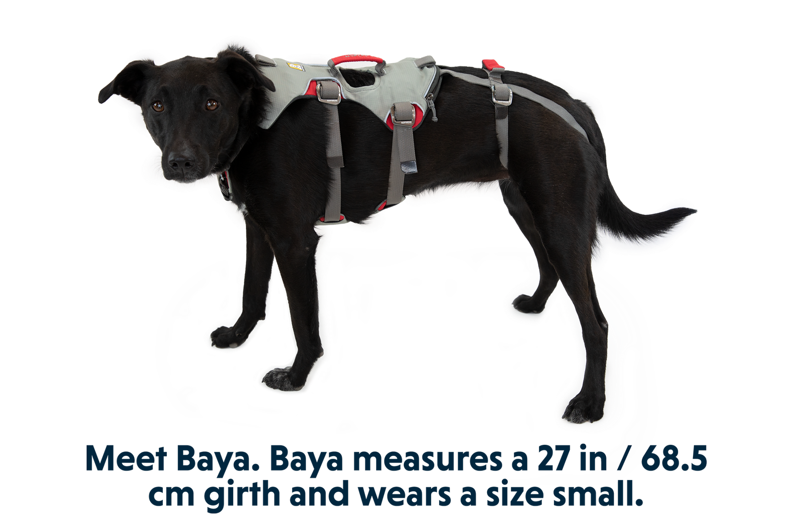 Doubleback™ Full Body Dog Harness - Image 2