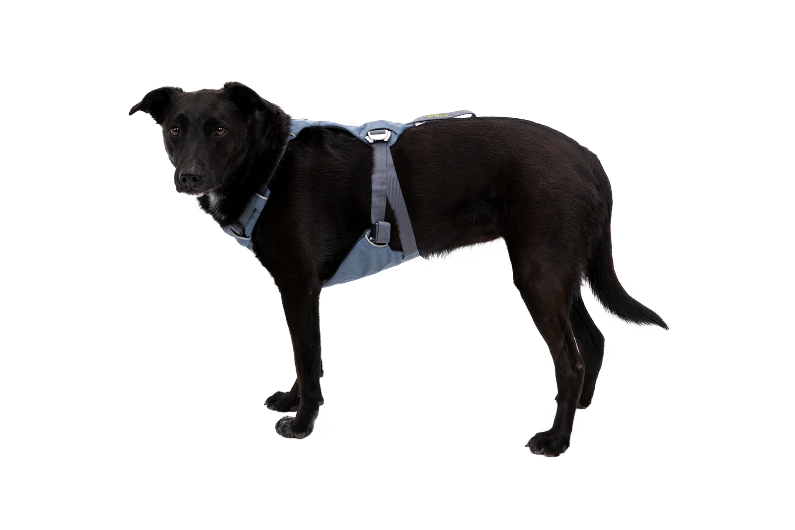 Load Up™ Dog Car Harness - Image 8