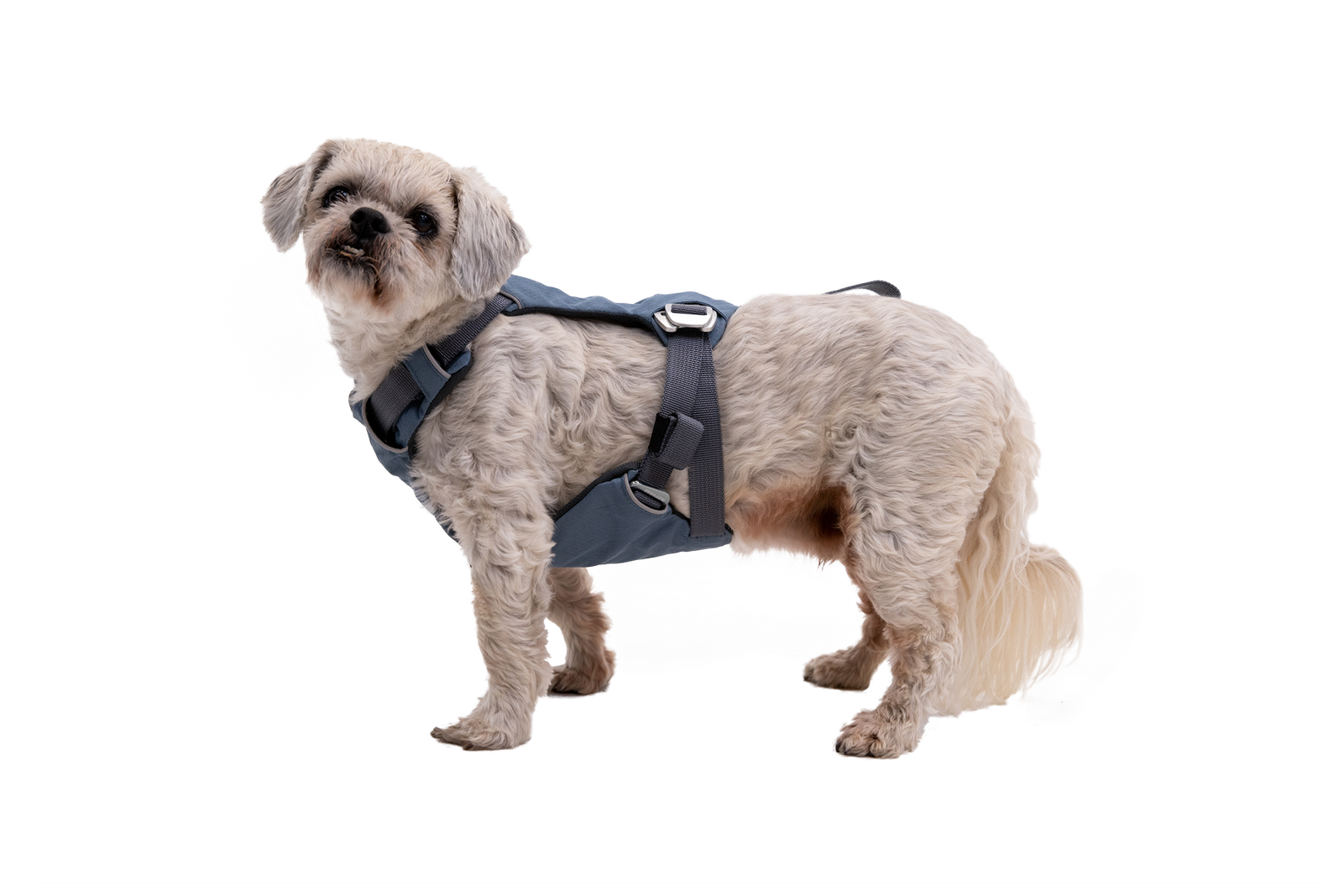 Load Up™ Dog Car Harness - Image 9