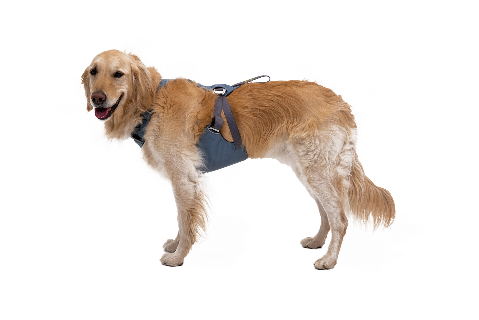 Load Up™ Dog Car Harness - Image 2