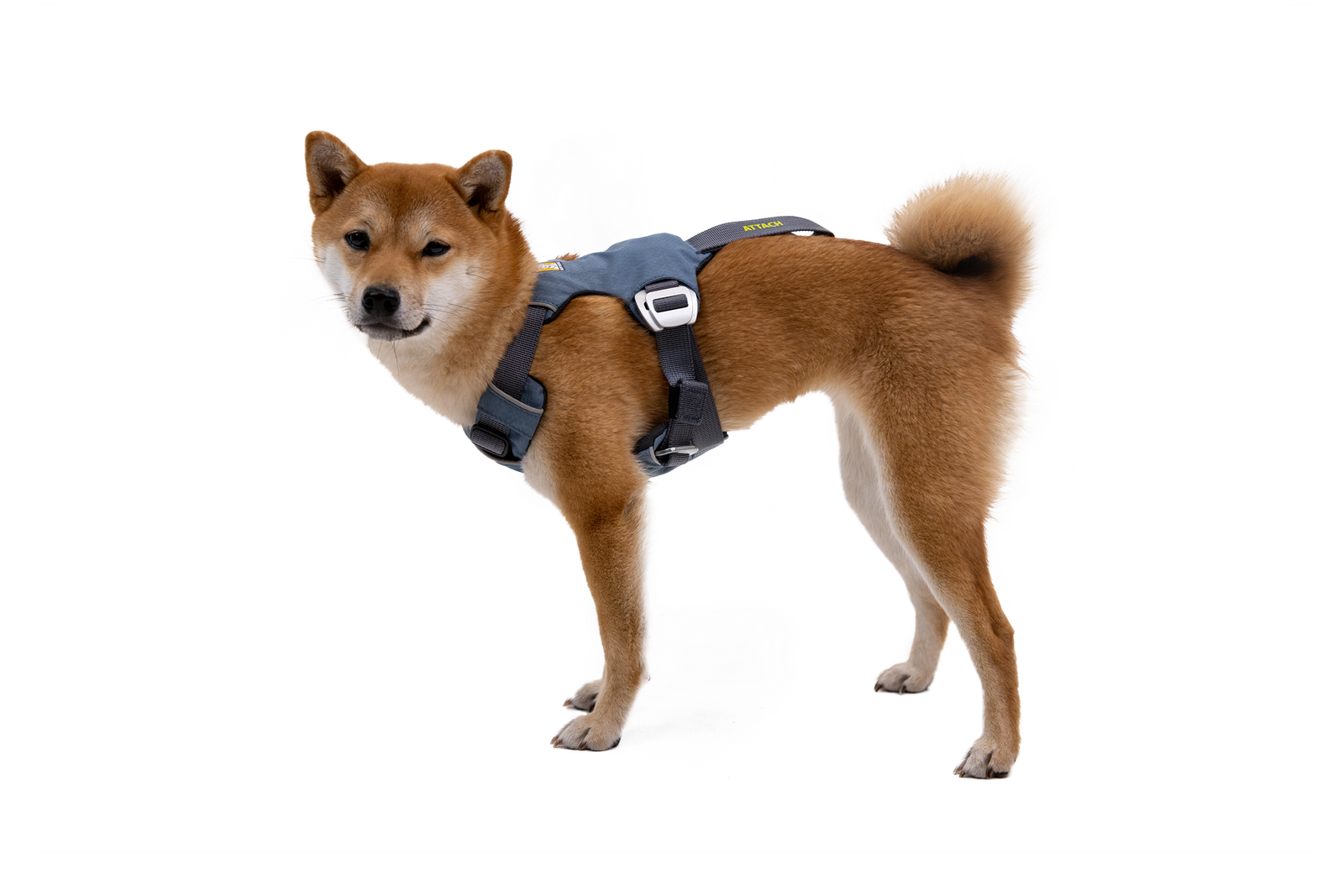 Load Up™ Dog Car Harness - Image 3