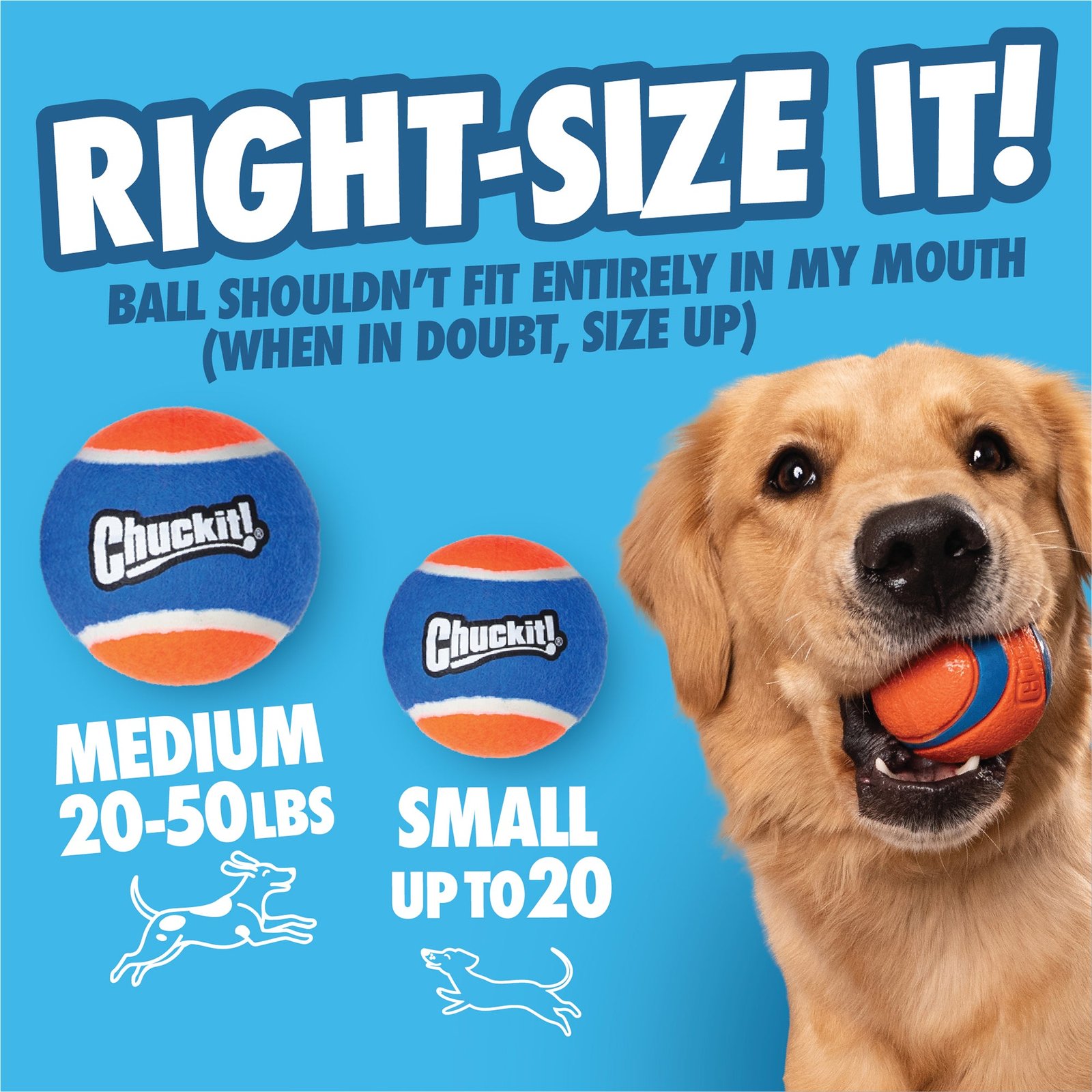Chuckit! Cannon & Cannon Max - Dog Ball Launcher - Image 10