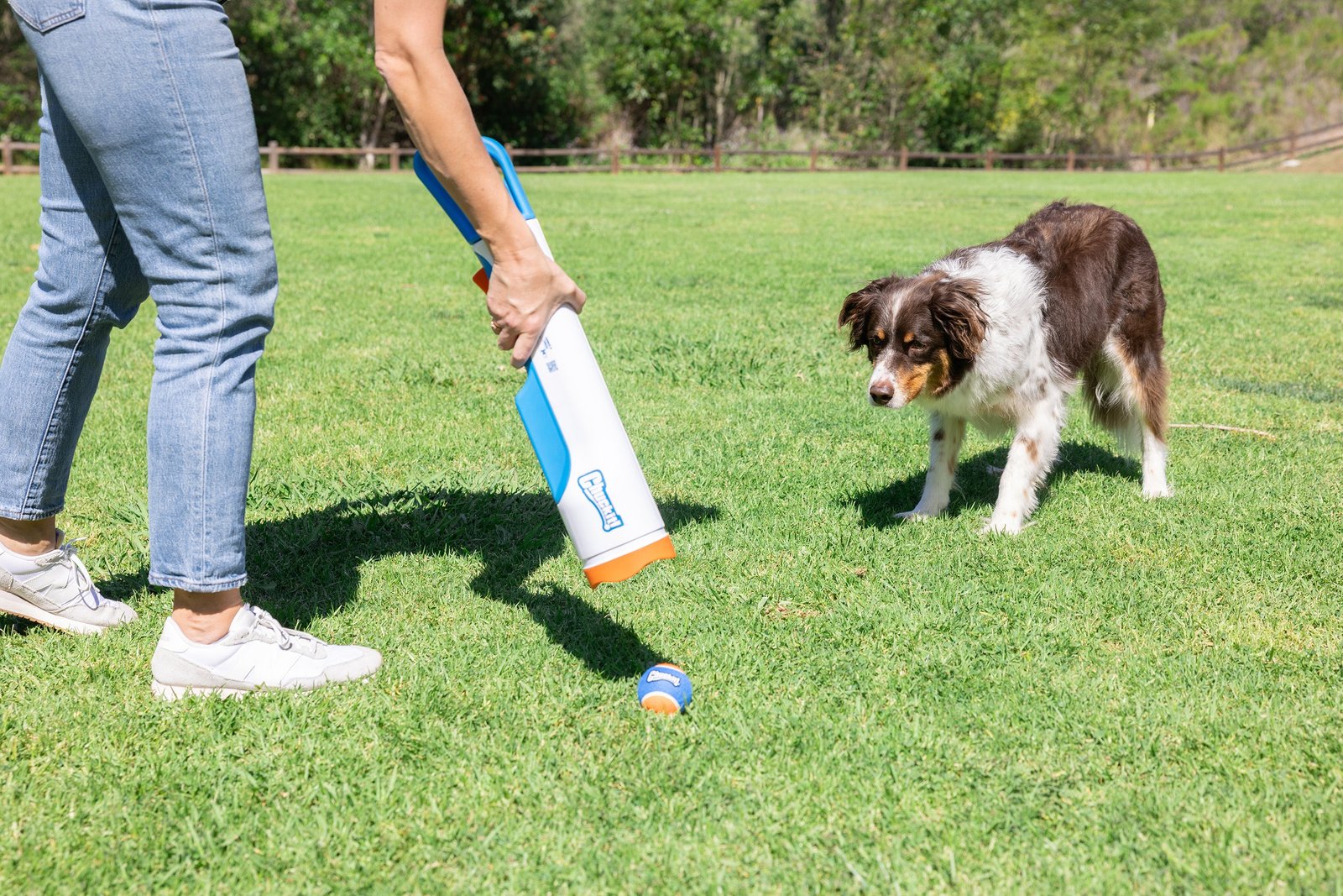 Chuckit! Cannon & Cannon Max - Dog Ball Launcher - Image 15