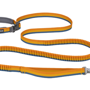 Roamer™ Bungee Dog Leash
