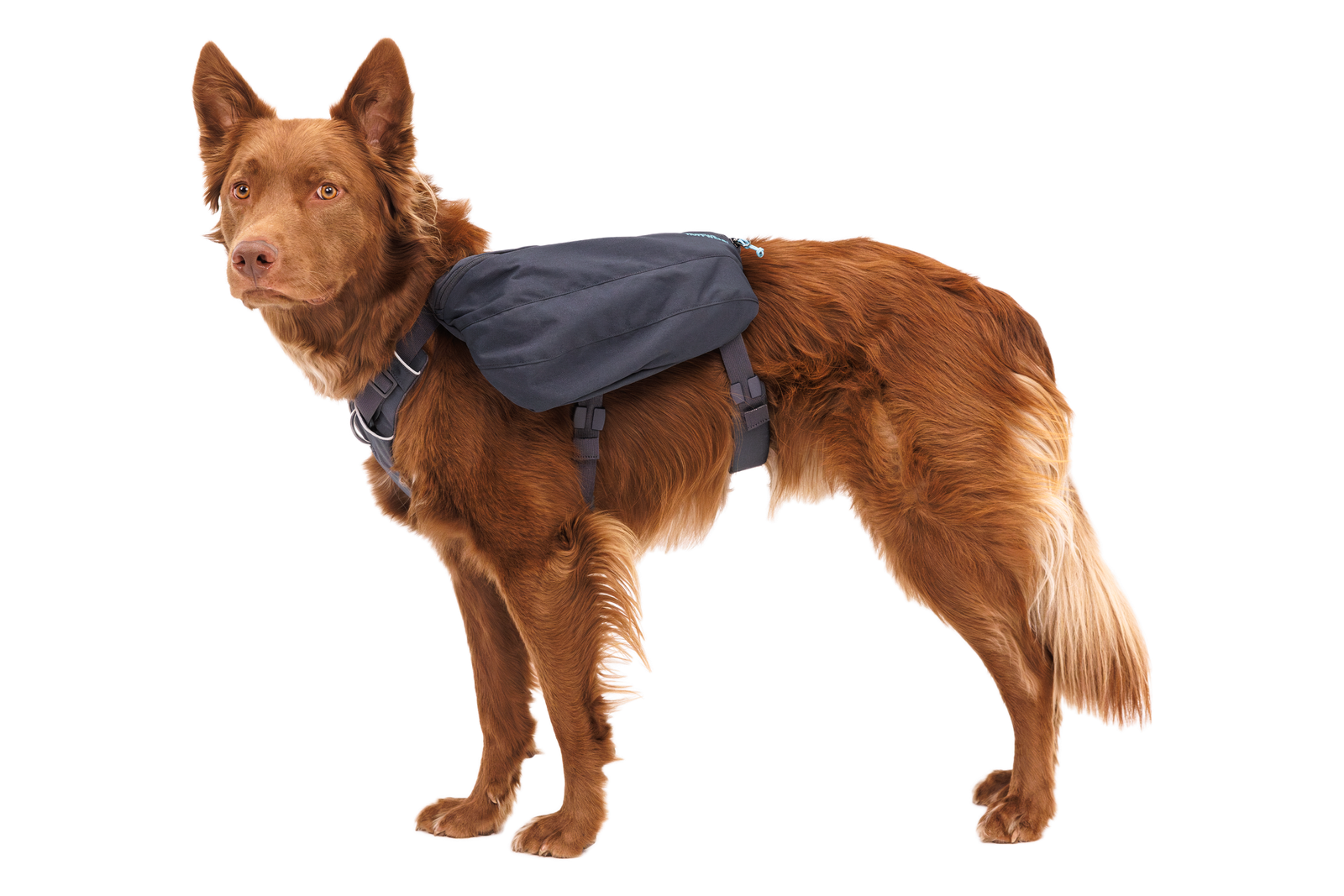 Front Range® Day Pack - Image 3