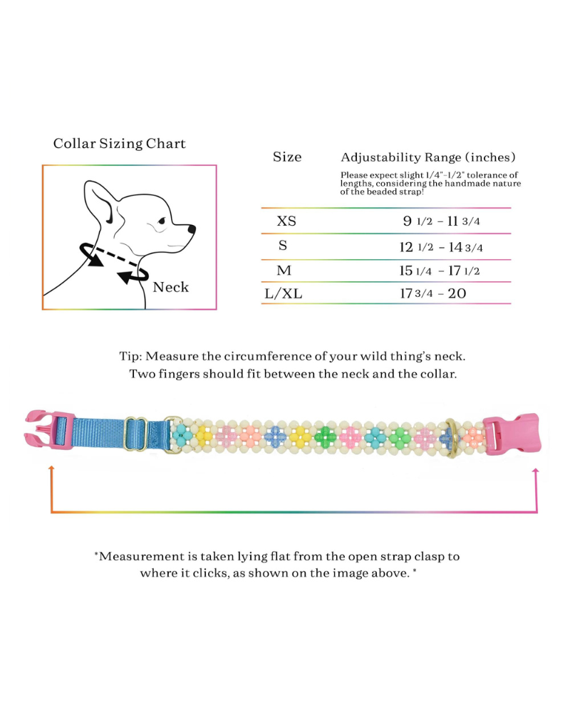 Broadway Beaded Dog Collar in Matinee (Made in the USA) - Image 10