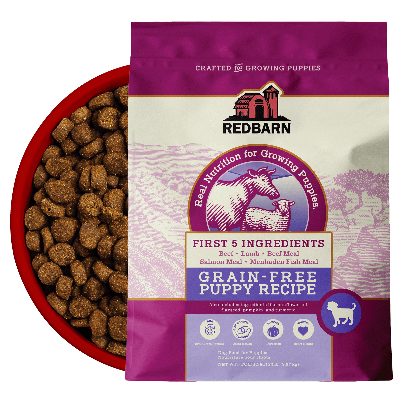 First-Five Kibble Grain-Free Puppy Beef & Lamb Recipe - Image 12