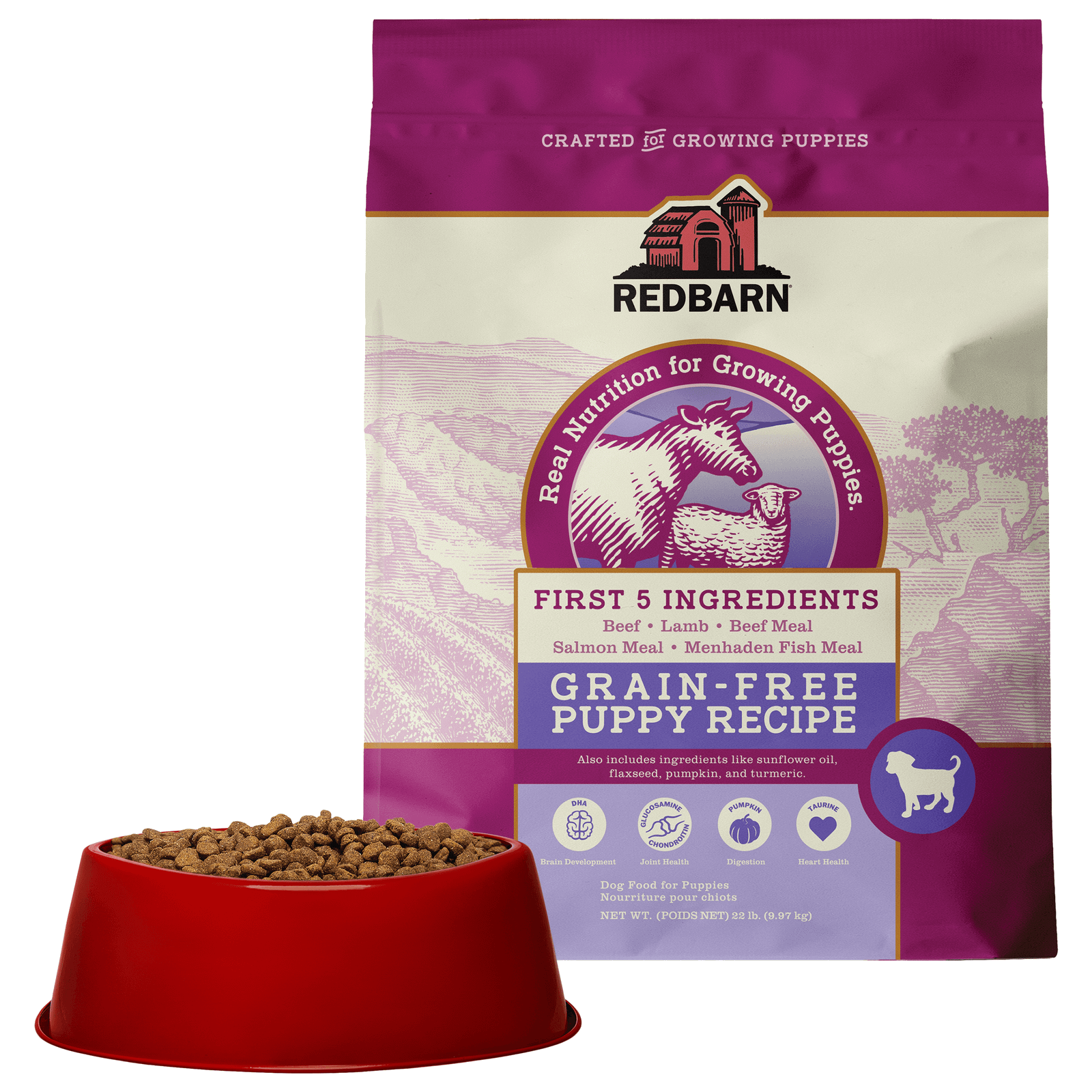 First-Five Kibble Grain-Free Puppy Beef & Lamb Recipe - Image 11
