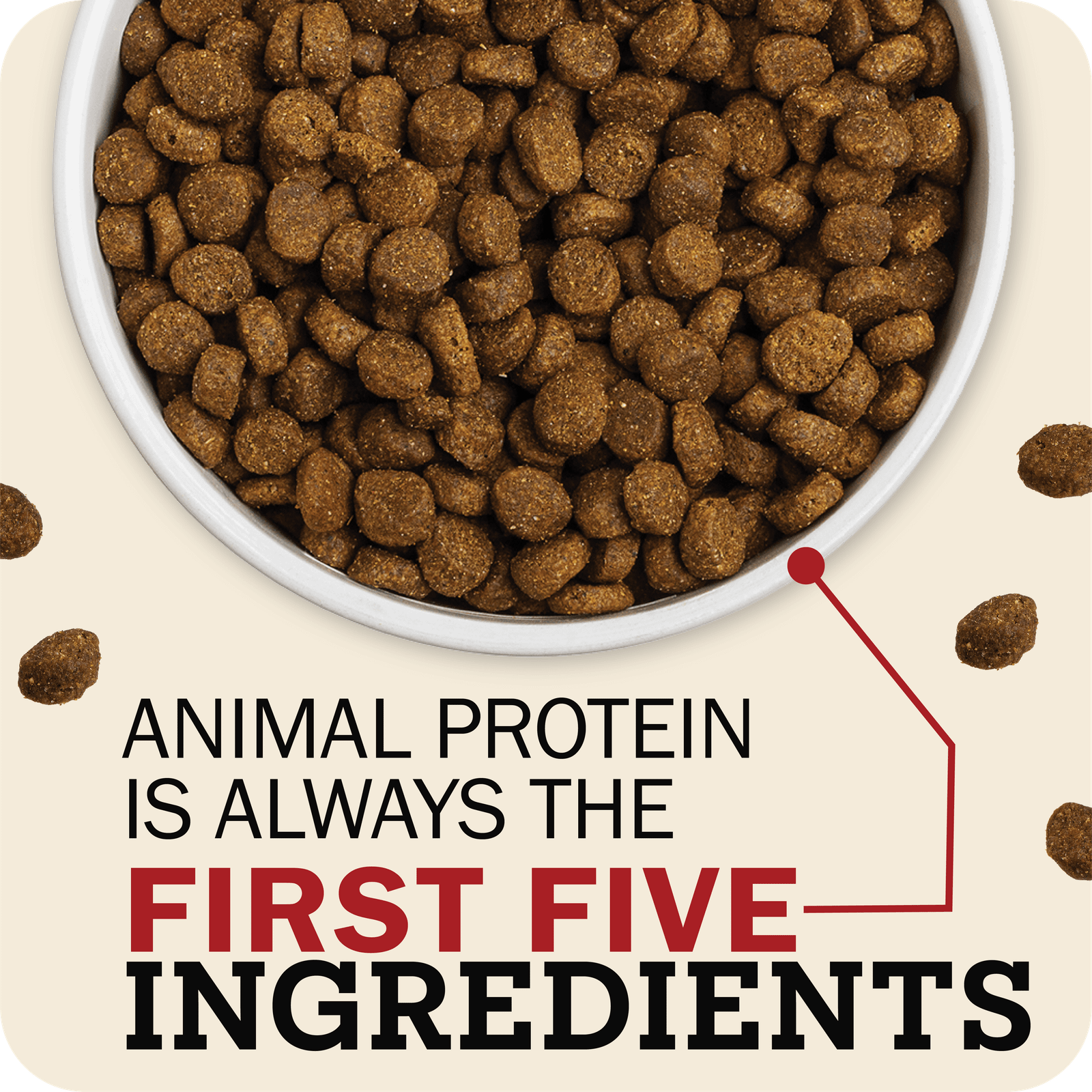 First-Five Kibble Grain-Free Puppy Beef & Lamb Recipe - Image 3