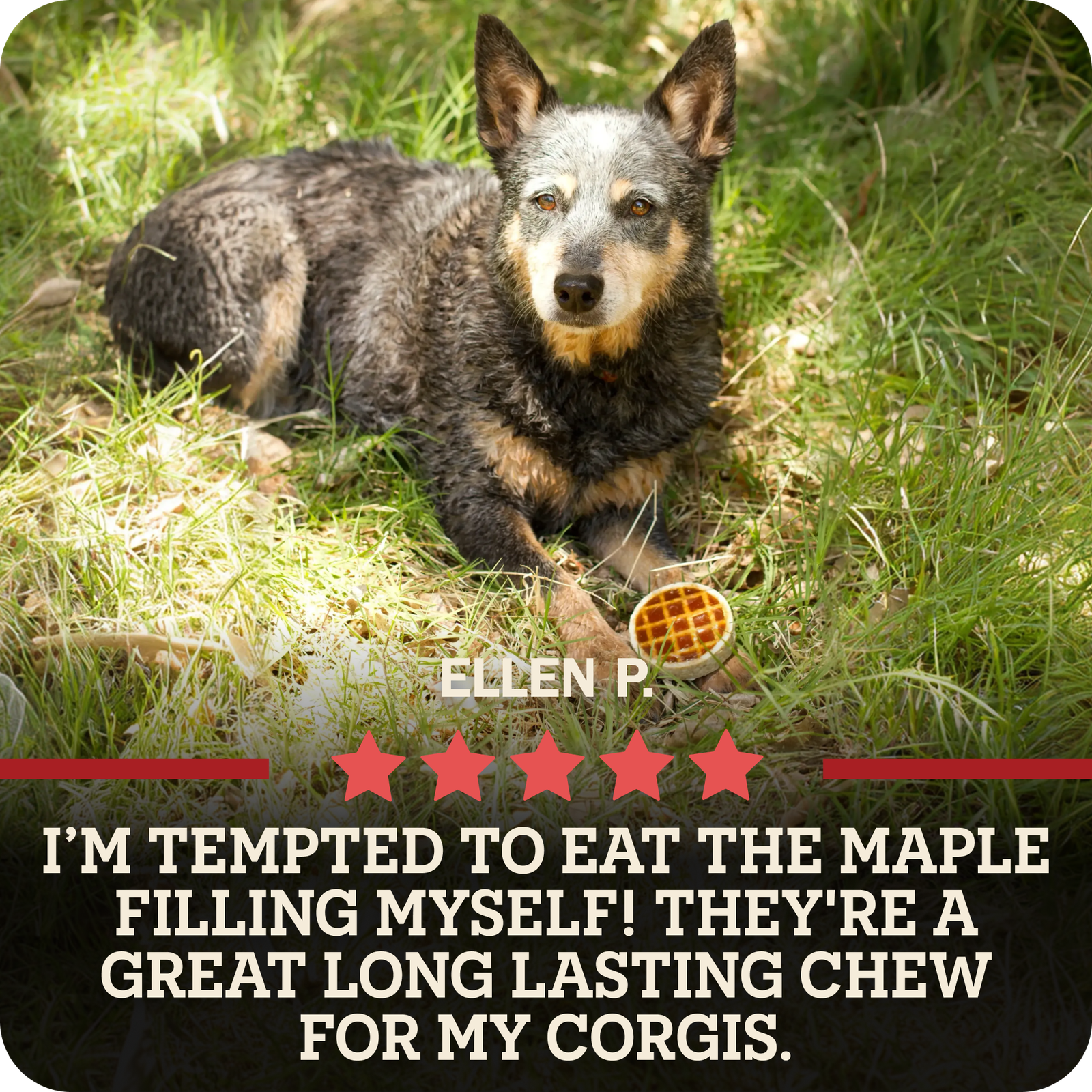 Roofle® Maple Flavor - Image 9