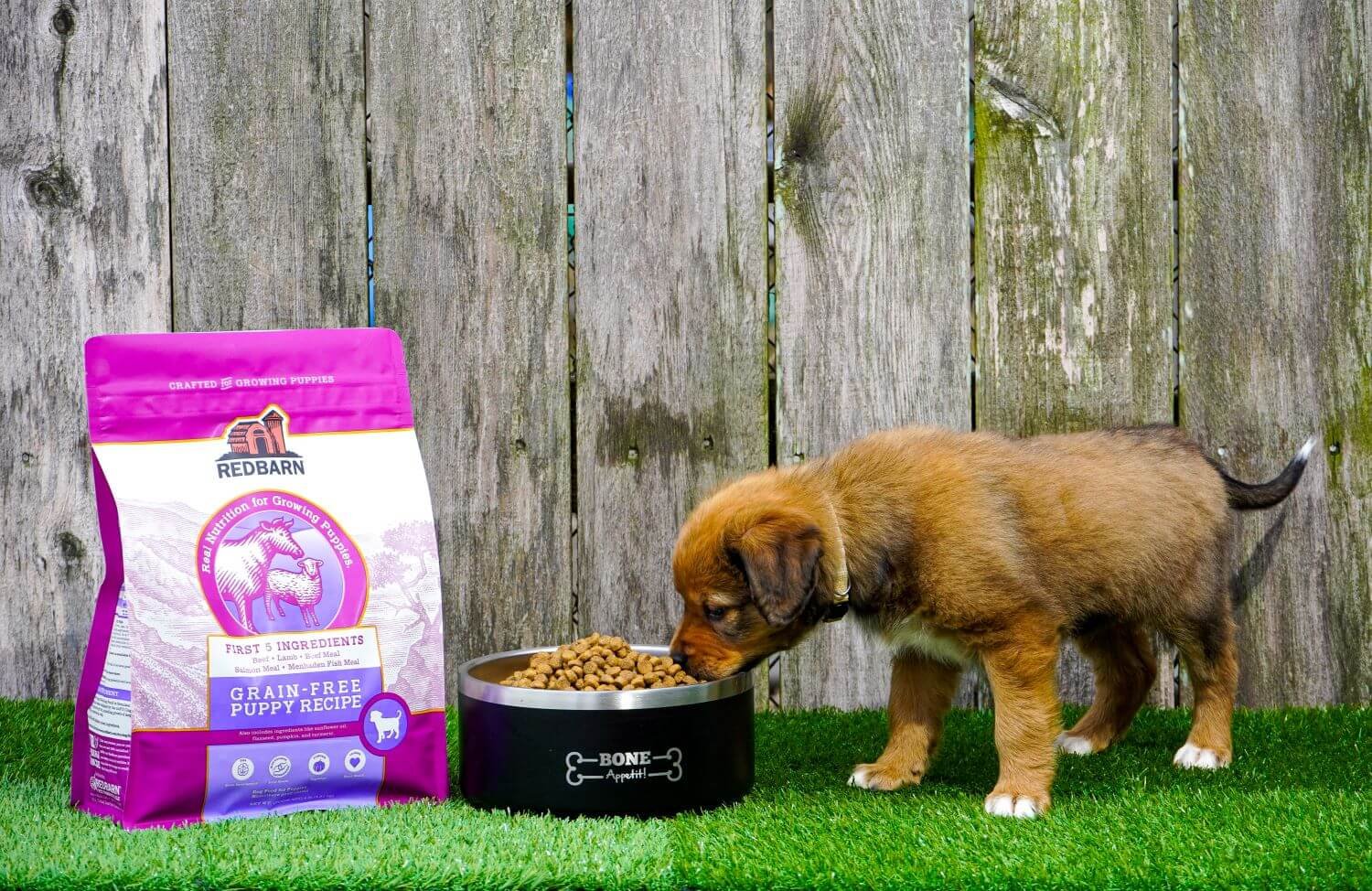 First-Five Kibble Grain-Free Puppy Beef & Lamb Recipe - Image 6