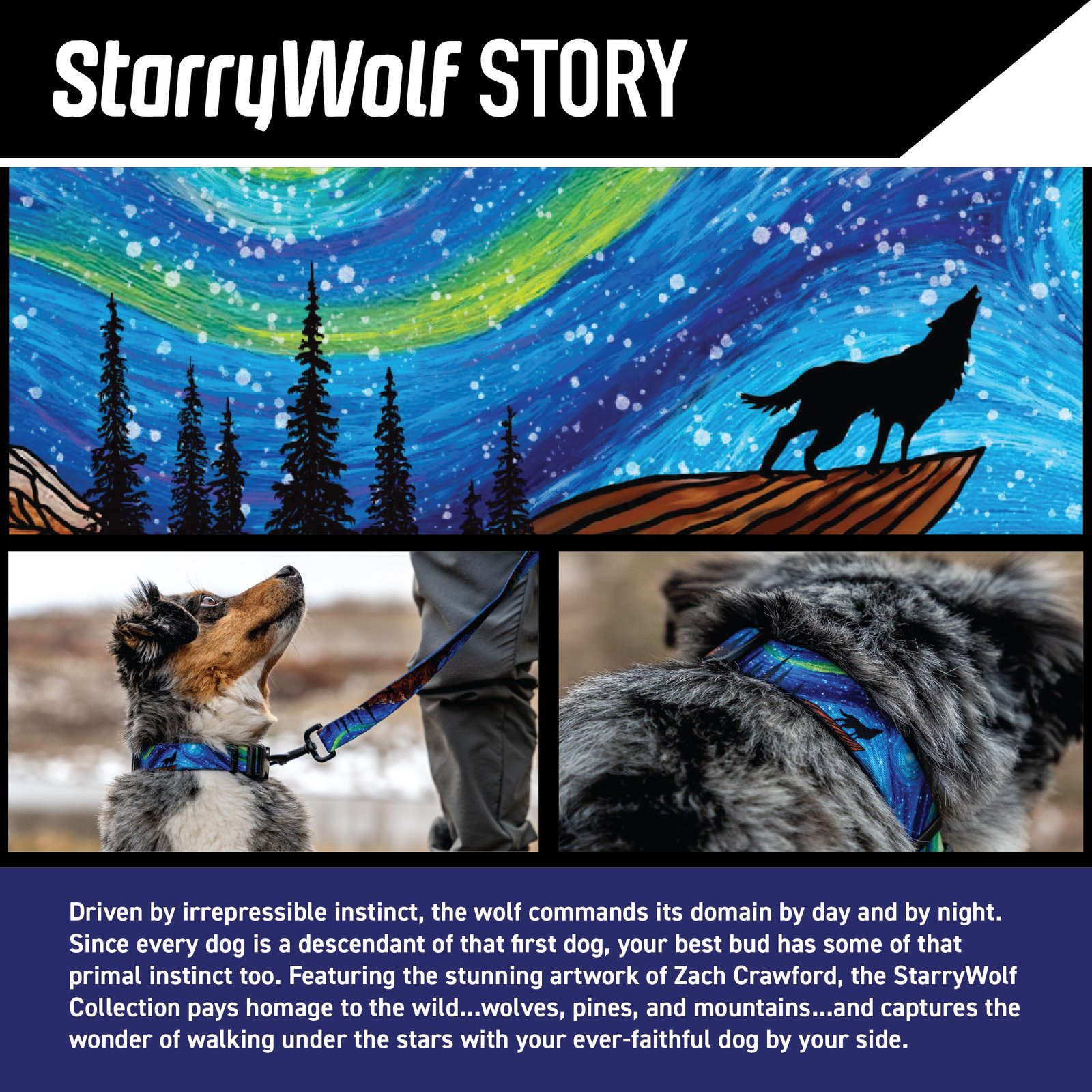 StarryWolf Dog Collar - Image 2